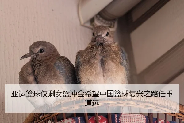 亚运篮球仅剩女篮冲金希望中国篮球复兴之路任重道远